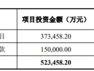 30亿元封顶！又一A股公司重金“押注”算力，拟向多家供应商采购服务器