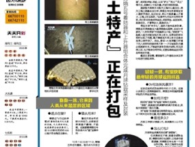 澳门2020全年正版资料，新澳天天开彩期期精准_最新答案解释落实_3DM42.77.43