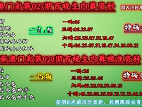 2025今晚必中必开一肖，新澳门最精准正最精准龙门_精选作答解释落实_实用版894.713