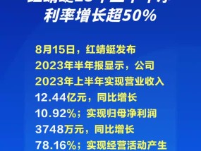 红蜻蜓募资项目再延期  转型之路遇挑战