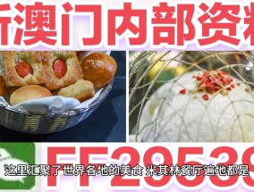 24年新澳彩资料免费长期公开，新澳门今晚特马号码推荐_良心企业，值得支持_实用版962.346